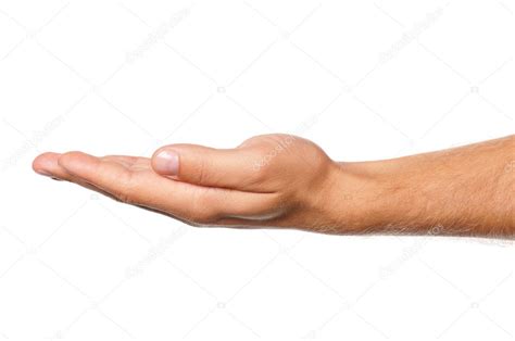 hand stock image|hand jpg image.